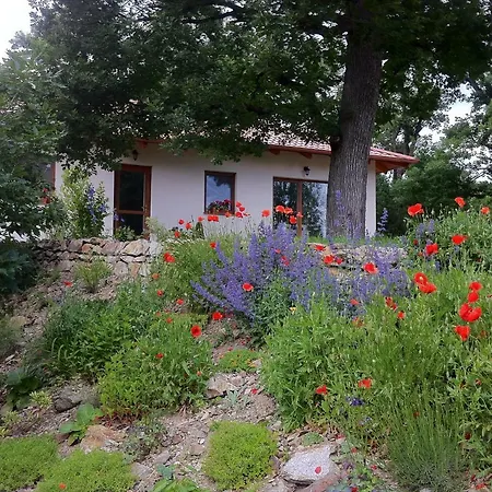 Apartment Apartmanovy Dom Harmonia Modra