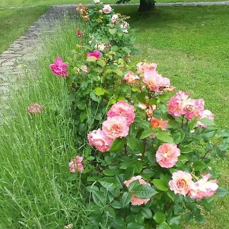 Apartmanovy Dom Harmonia Apartment