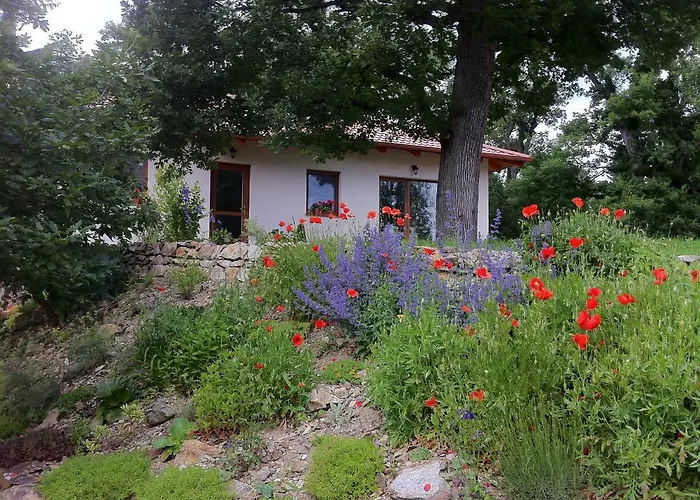 דירה Apartmanovy Dom Harmonia מודרה