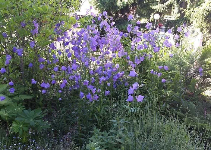 公寓 Apartmanovy Dom Harmonia 莫德拉