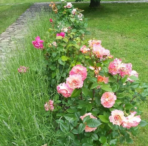 Apartmanovy Dom Harmonia דירה